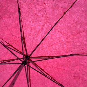 Meet your Posher, Danya